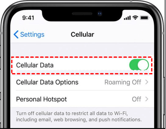 turn on cellular data