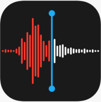 voice memo