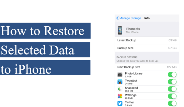 how-to-restore-selected-data-to-iphone.png