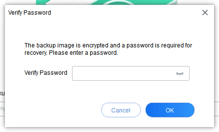 Verify Password 