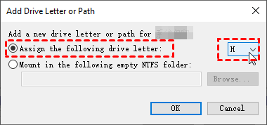 assign-the-following-drive-letter