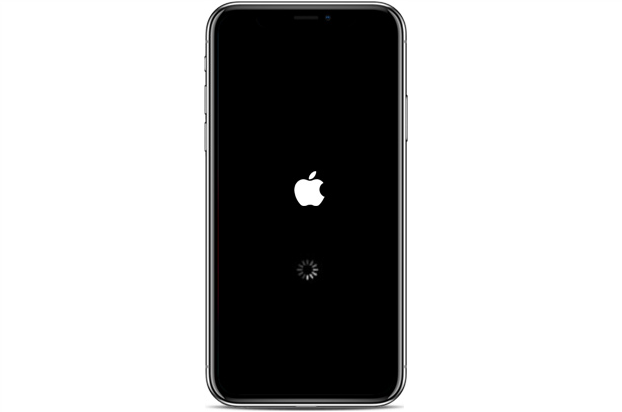 Gelöst] iPhone schwarzer Bildschirm mit Kreis