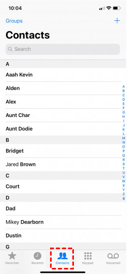 iPhone Contacts 