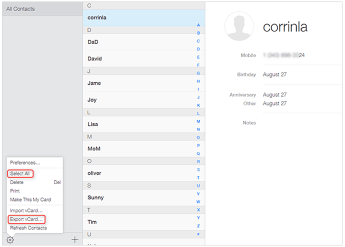 Export iPhone Contacts from iCloud