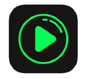 видео загрузчик для iPhone бесплатно
