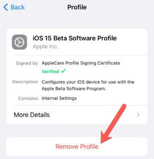 Delete iOS 15 Beta Profile