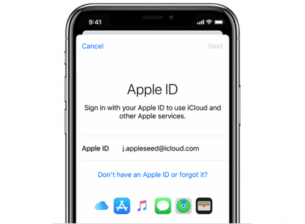 Enter Apple ID and Password to Sign in iCloud
