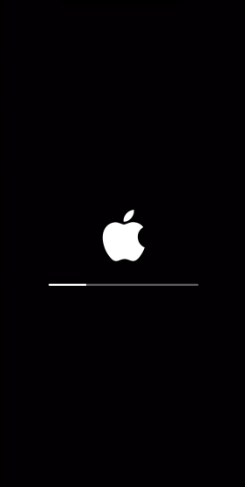 Iphone Start Logo