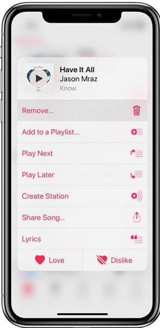 Remove Downloaded Song In Apple Music