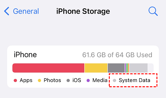 System Data iPhone Storage 
