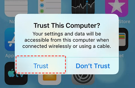 Trust This Computer