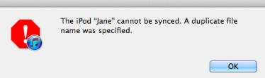 iTunes Error Duplicate File Name