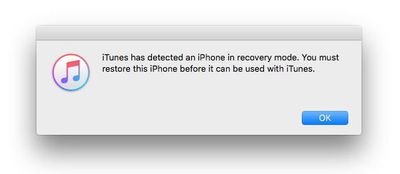 Restore this iPhone before 