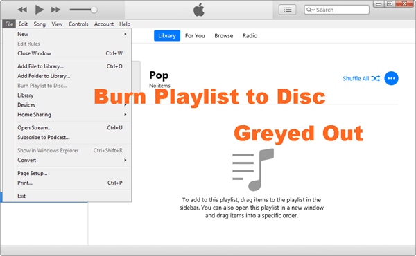 Burn Playlist to Disc Greyed Out