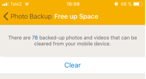 DS Free Up Space
