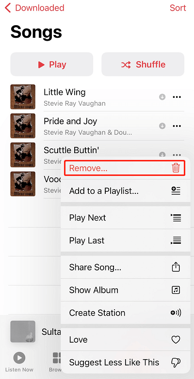 remove downloaded songs