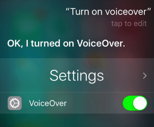 Turn on VoiceOver