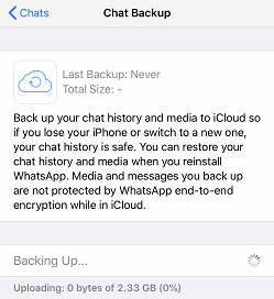 Whatsapp Backup