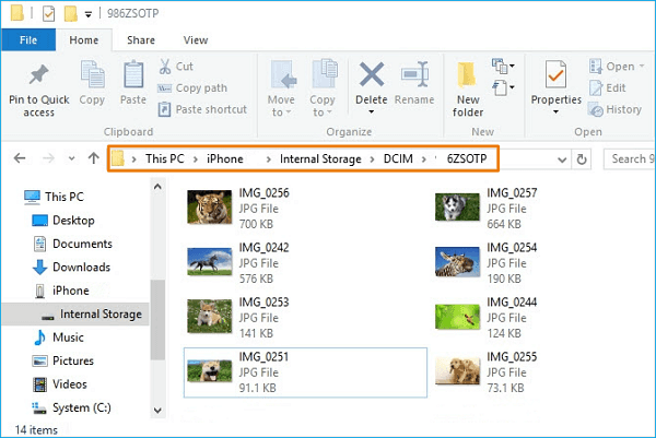 Transfer Photos from iPhone to USB on Windows PC