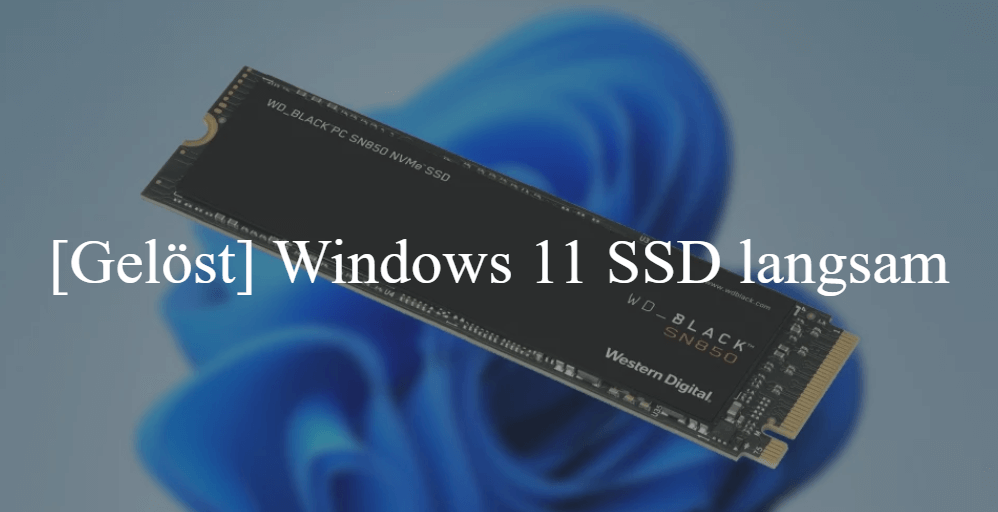 Windows 11 SSD langsam