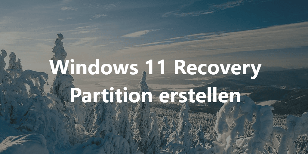 windows 11 recovery partition erstellen