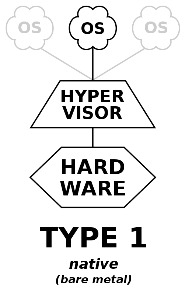 Type 1 hypervisor