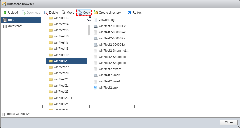 Copy VM files in Datastore