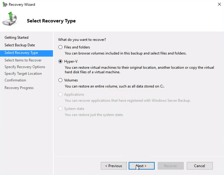 Windows Serve Backup recover type