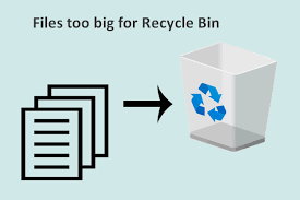 files too big for recycle bin