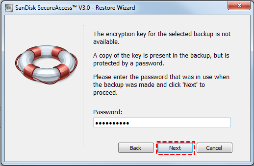 Secure Access Enter Password