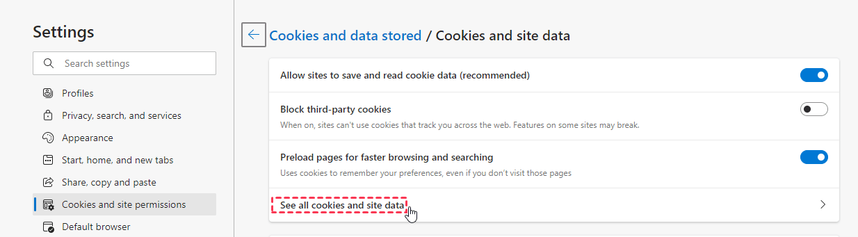 See All Cookies And Data
