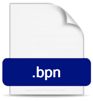 BPN File