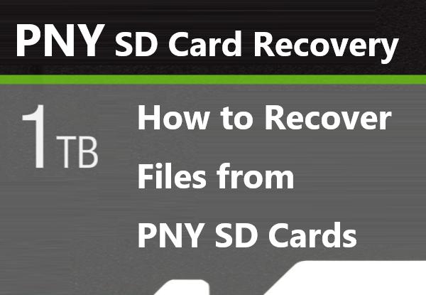 pny-sd-card-recovery