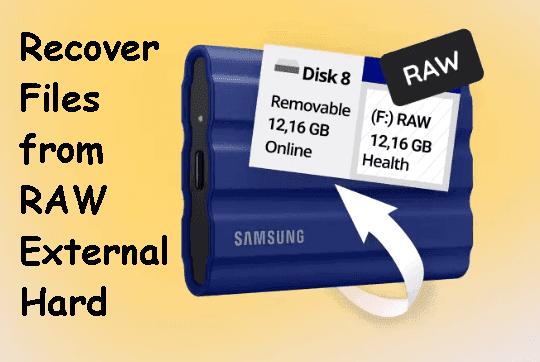 Recover Files from RAW External Hard Drive