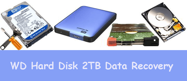 WD Hard Disk 2TB Data Recovery
