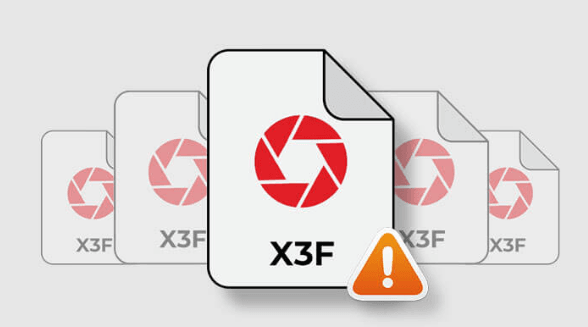 X3F Files