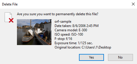 permanently-deleted-orf-image-from-recycle-bin