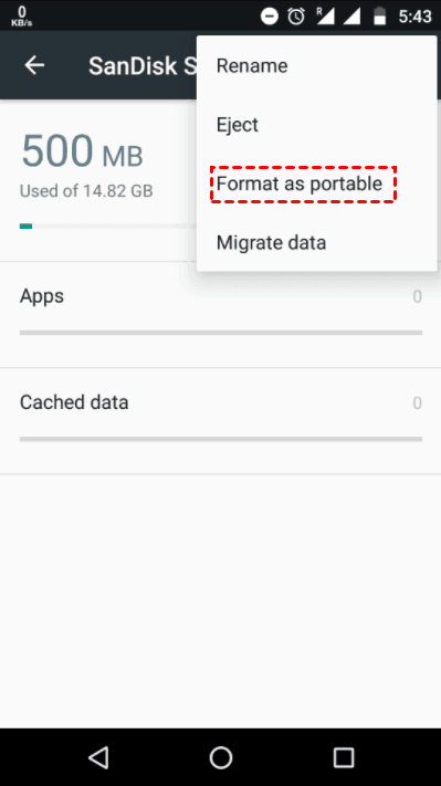 Format as Portable