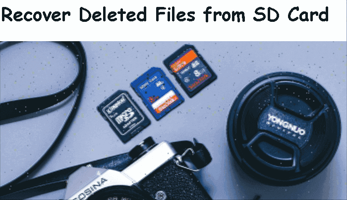 Recover Deleted Files from SD Card