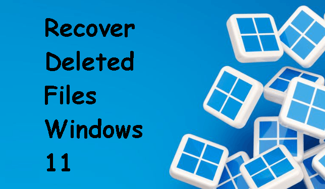 Recover Deleted Files Windows 11