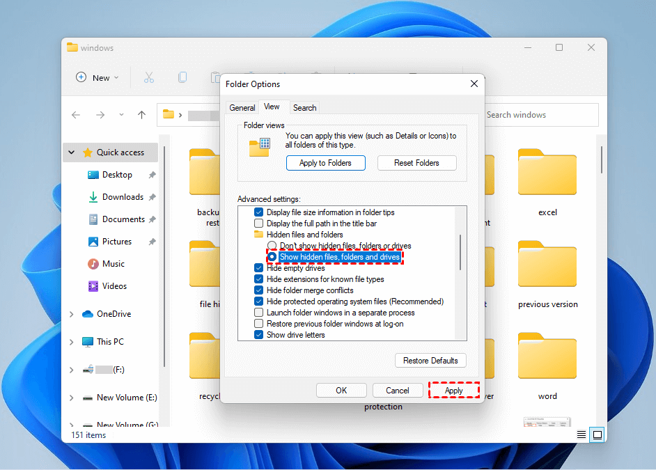 show-hidden-files-folders-and-drives-apply