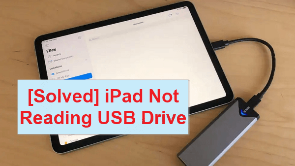 iPad Not Reading USB Drive