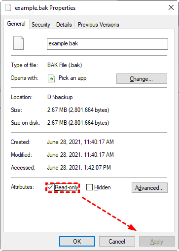 read only backup file