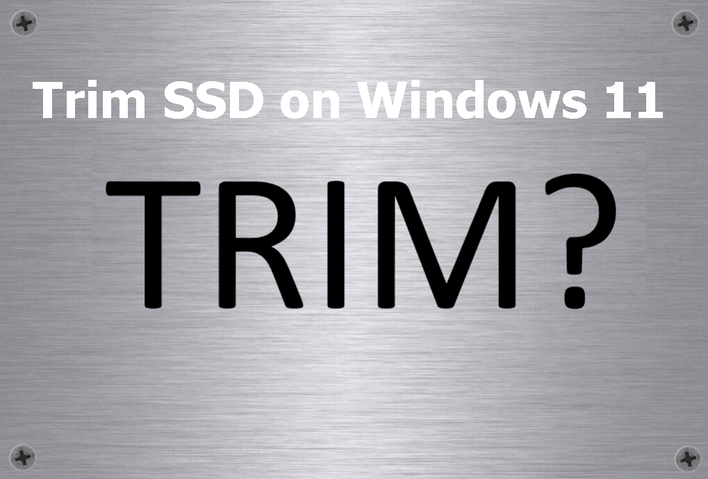 bænk gennemse Wade Trim SSD on Windows 11: How to Enable/Disable It Easily