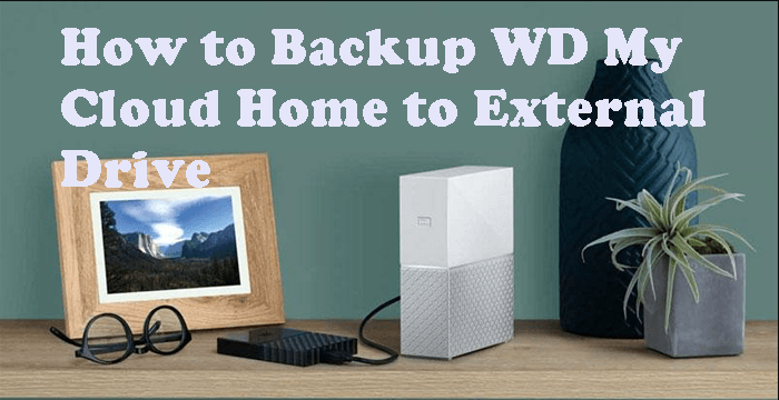 Backup WD My Cloud Home to External Drive