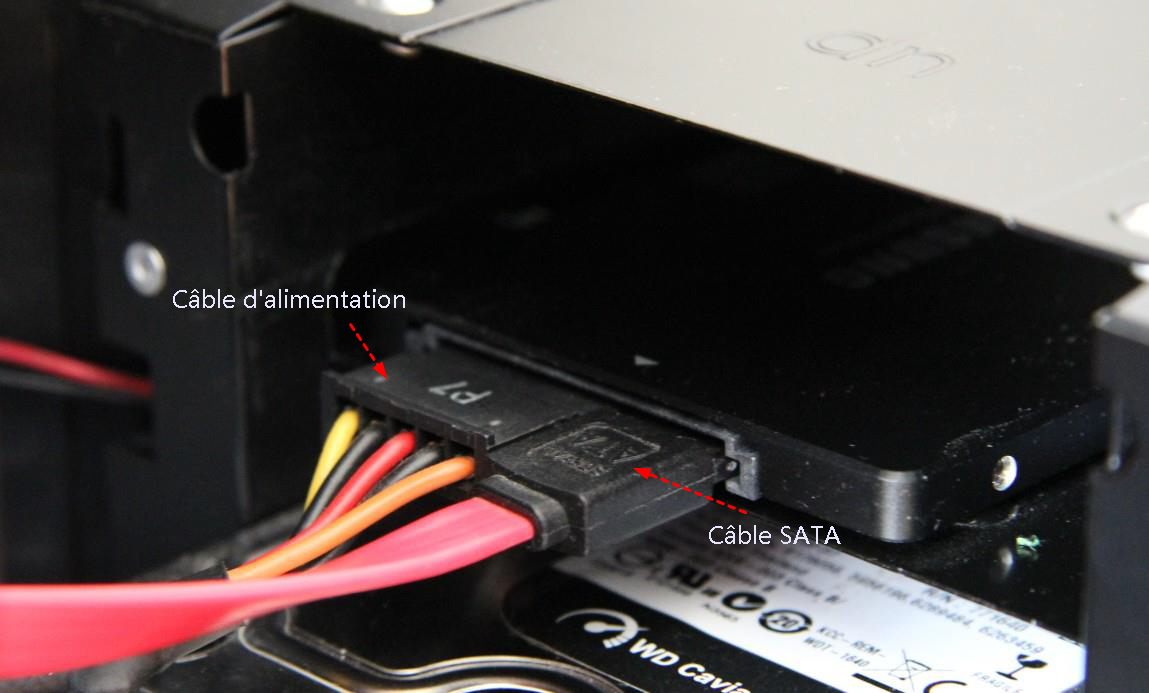 Câble d'alimentation et câble de SATA branché sur disque
