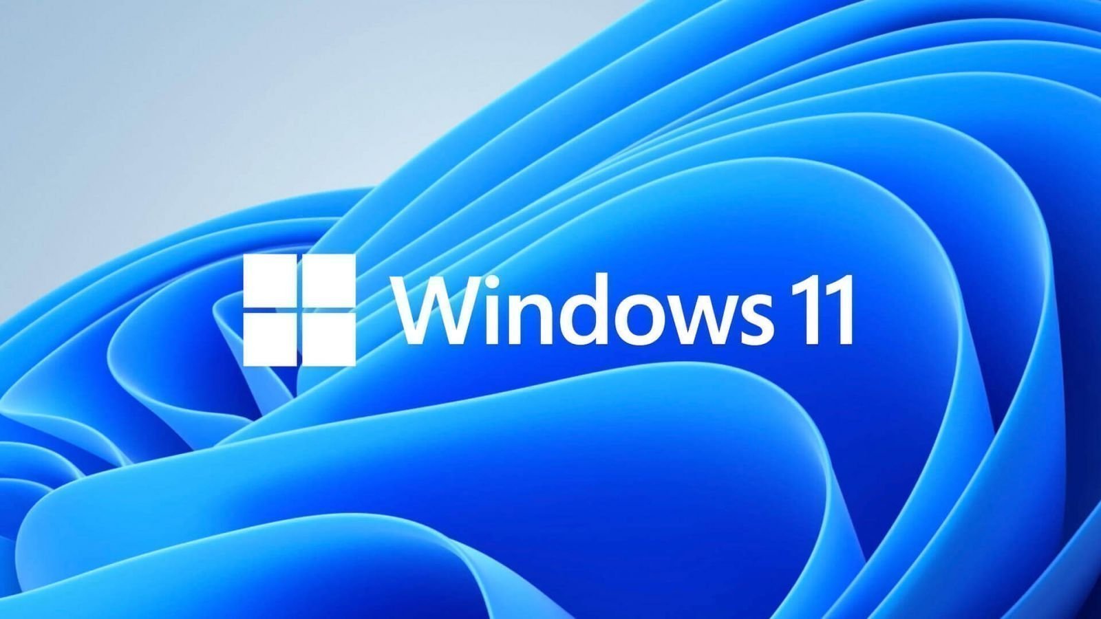 在 Windows 11 上備份特定資料夾